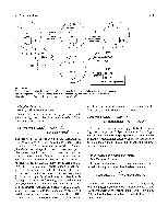 Bhagavan Medical Biochemistry 2001, page 262